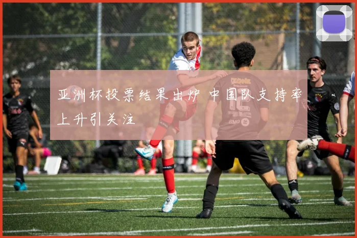 亚洲杯投票结果出炉 中国队支持率上升引关注